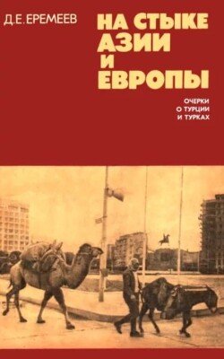 На стыке Азии и Европы. Очерки о Турции и турках