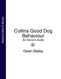 Collins Good Dog Behaviour: An Owner’s Guide