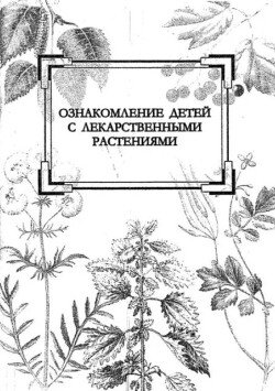 Ознакомление детей с лекарственными растениями