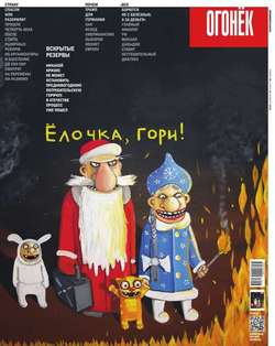 Огонёк 46-2016