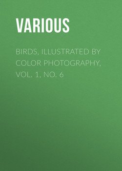 Birds, Illustrated by Color Photography, Vol. 1, No. 6