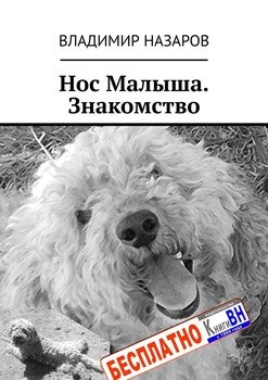 Нос Малыша. Знакомство