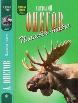 Я живу в заонежской тайге. В медвежьем краю
