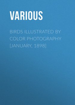 Birds Illustrated by Color Photography [January, 1898]