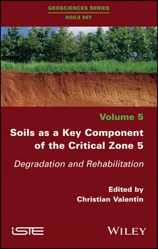 Soils as a Key Component of the Critical Zone 5. Degradation and Rehabilitation