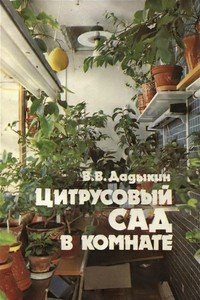 Цитрусовый сад в комнате