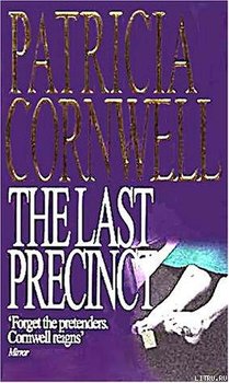 The Last Precinct