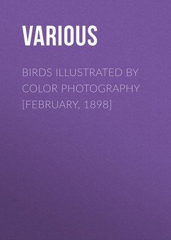 Birds Illustrated by Color Photography [February, 1898]