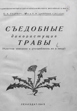 Съедобные дикорастущие травы 