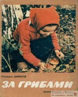 За грибами