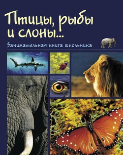 Птицы, рыбы и слоны… Занимательная книга школьника
