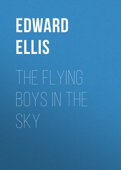 The Flying Boys in the Sky