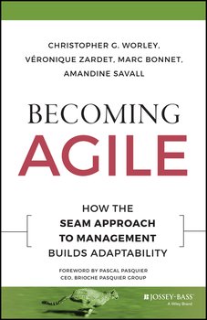 Becoming Agile. How the SEAM Approach to Management Builds Adaptability