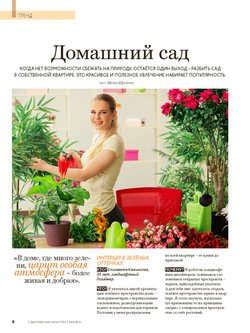 Домашний сад