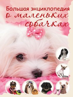 Большая энциклопедия о маленьких собачках