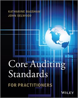 Core Auditing Standards for Practitioners