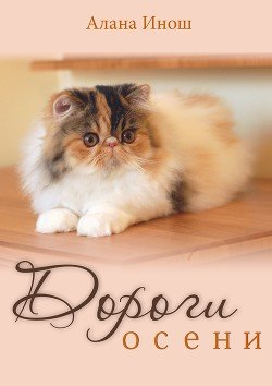 Дороги осени 