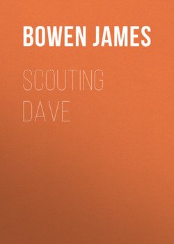 Scouting Dave