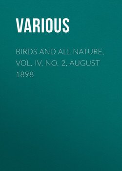 Birds and all Nature, Vol. IV, No. 2, August 1898