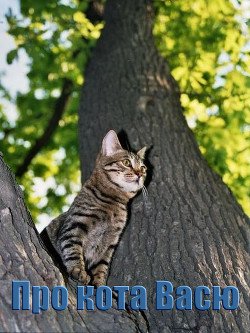 Про кота Васю 