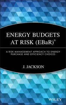 Energy Budgets at Risk . A Risk Management Approach to Energy Purchase and Efficiency Choices