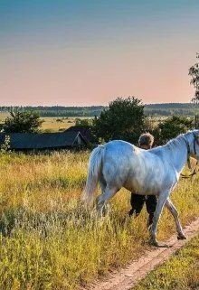 Жизнь прожить, не поле перейти