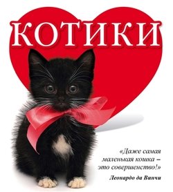 Котики