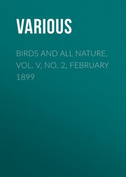 Birds and all Nature, Vol. V, No. 2, February 1899