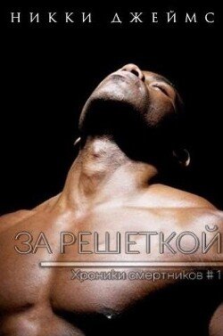 За решеткой 