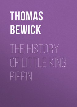 The History of Little King Pippin