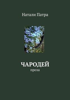 Чародей. Проза