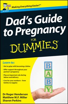 Dad's Guide to Pregnancy For Dummies