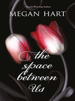 The Space Between Us