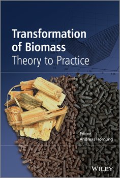 Transformation of Biomass. Theory to Practice