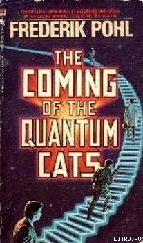 Нашествие квантовых котов