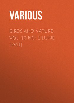 Birds and Nature, Vol. 10 No. 1 [June 1901]