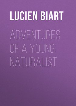 Adventures of a Young Naturalist