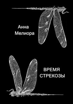 Время стрекозы