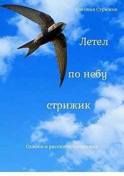 Летел по небу стрижик