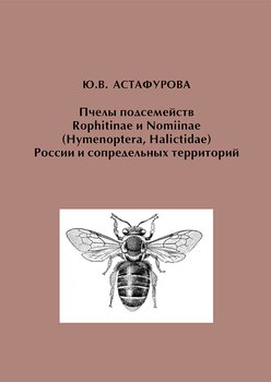 Пчелы подсемейств Rophitinae и Nomiinae России и сопредельных территорий