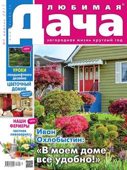 Любимая Дача 04-2017