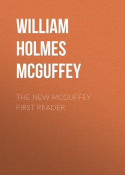 The New McGuffey First Reader