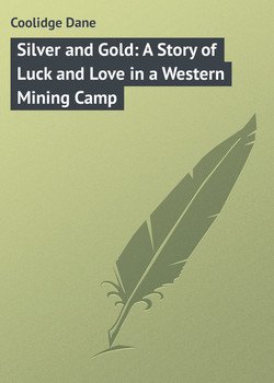 Silver and Gold: A Story of Luck and Love in a Western Mining Camp