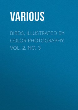 Birds, Illustrated by Color Photography, Vol. 2, No. 3