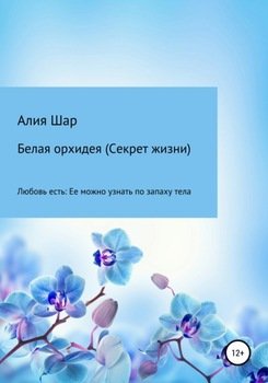 Белая орхидея 