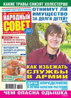 Народный совет №33/2017