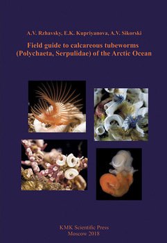 Field guide to calcareous tubeworms of the Arctic Ocean