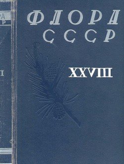 Флора СССР т.28