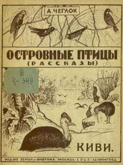 Киви 