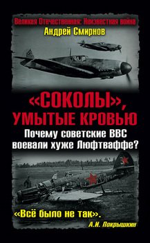 Соколы, умытые кровью. Почему советские ВВС воевали хуже Люфтваффе?
